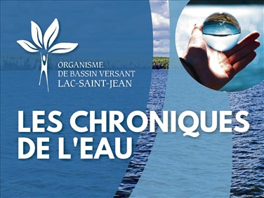 Les chroniques de l'eau