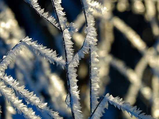 Le froid extrême achève 